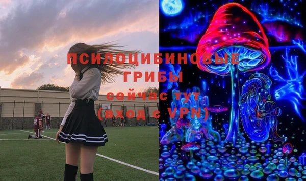 героин Алексин